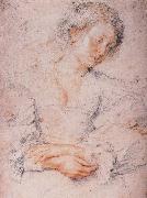 Peter Paul Rubens The Girl Sweden oil painting artist
